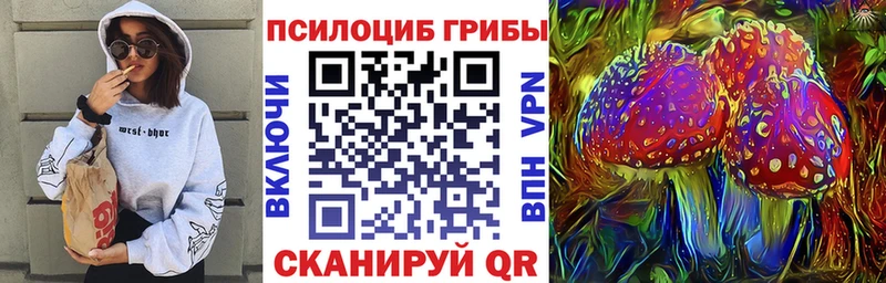 Псилоцибиновые грибы мухоморы  где купить наркоту  Лесозаводск 